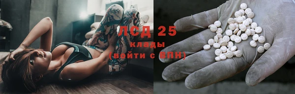 прущие грибы Абдулино