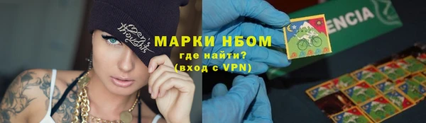 прущие грибы Абдулино
