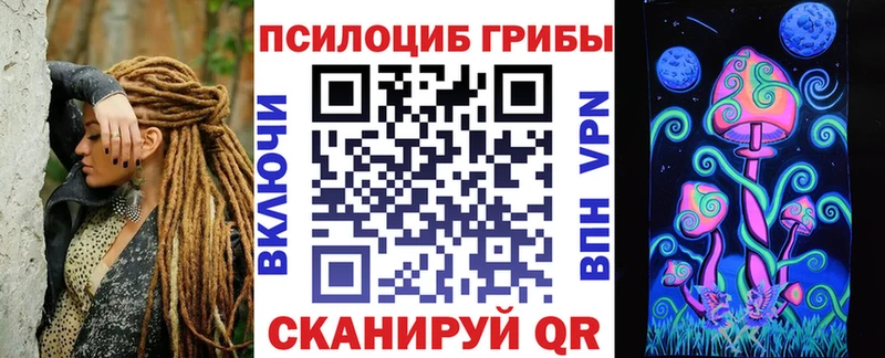 блэк спрут ONION  Руза  Псилоцибиновые грибы мицелий 